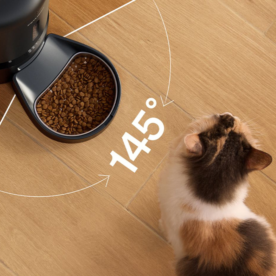 Petlibro automatic pet feeder with black food bowl dispensing dry kibble on wooden floor next to a calico cat