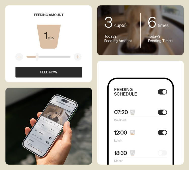 Petlibro app interface showing pet feeding amount, schedule, and remote control features with a dog image on smartphone screen