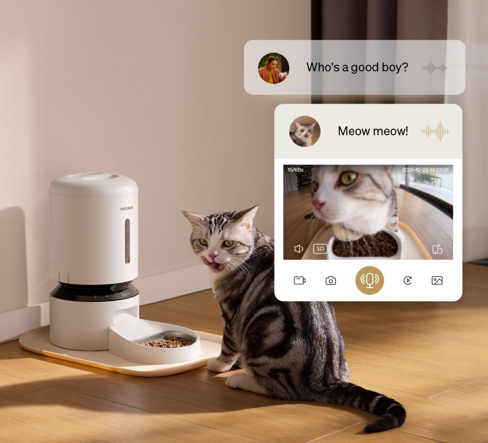 Petlibro smart automatic pet feeder in white with camera monitoring a gray tabby cat eating indoors