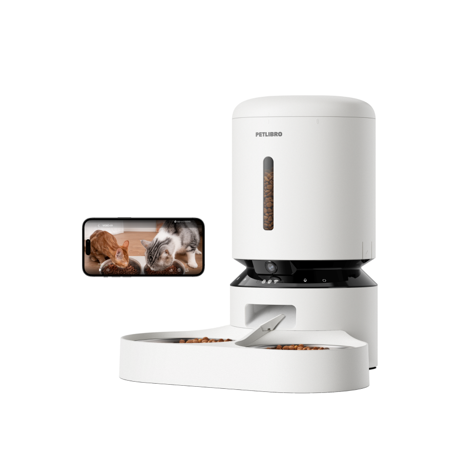 Automatic pet feeder canadian tire clearance