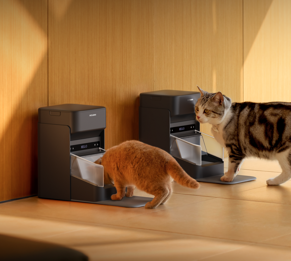 Multi-Pet Care — Personalized Bundle