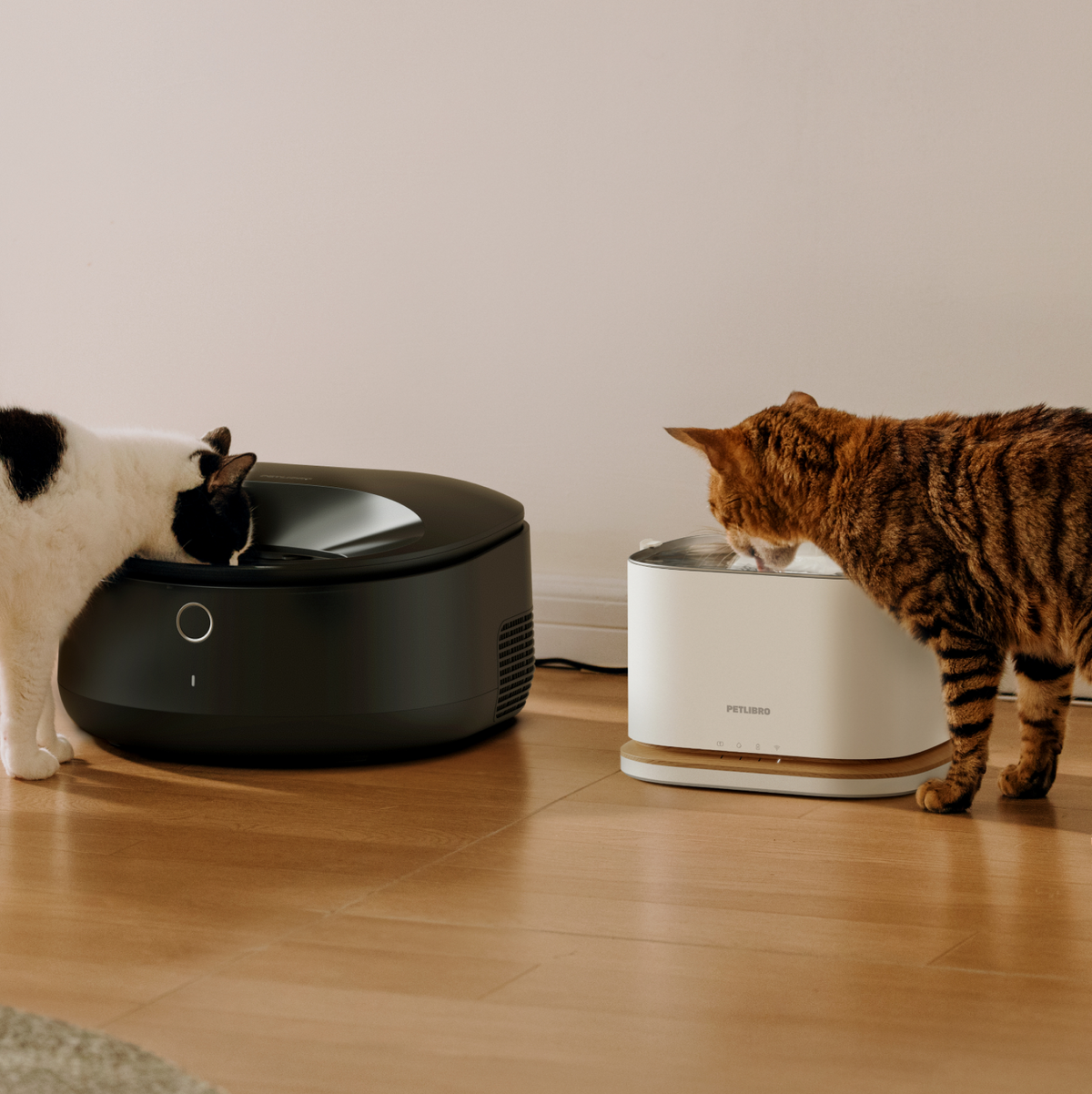 Smart Feeding & Hydration — Fresh Bundle