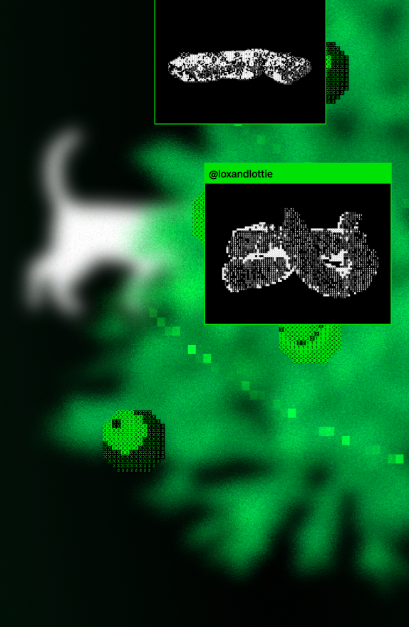 Petlibro digital pet activity monitor showing pixelated cat and toy images on a green and black background