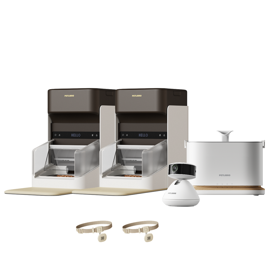 One RFID Smart Feeder & Dockstream 2 Smart Cordless Fountain & Scout Smart Camera