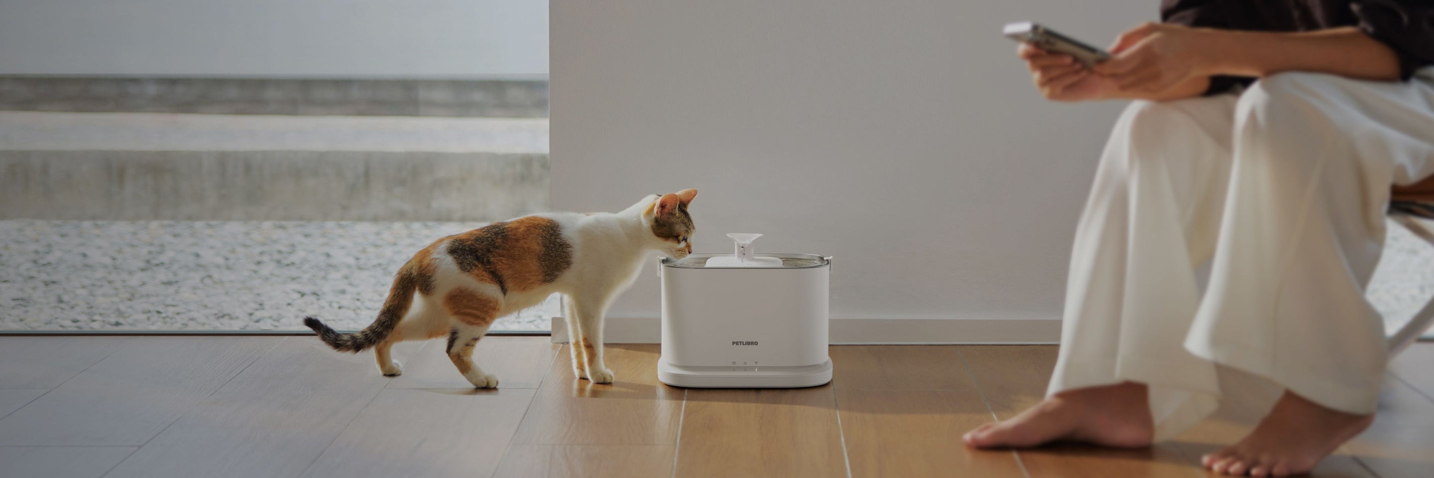 Petlibro white automatic pet water fountain with a cat drinking and a person sitting nearby using a smartphone