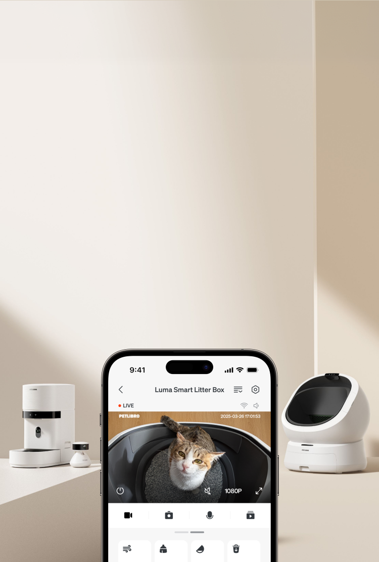Petlibro smart cat feeder with camera app showing cat in litter box; reliable wifi rfid cat feeder, portion control for multi-cat feeding proof of feeding