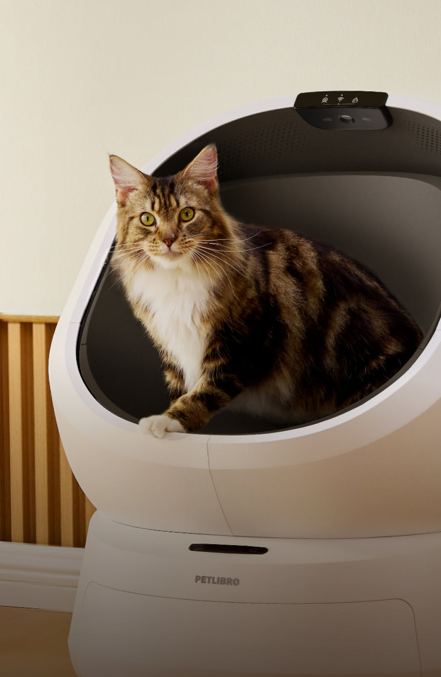 Petlibro Luma Smart Litter Box: Know who did what, when, and how much