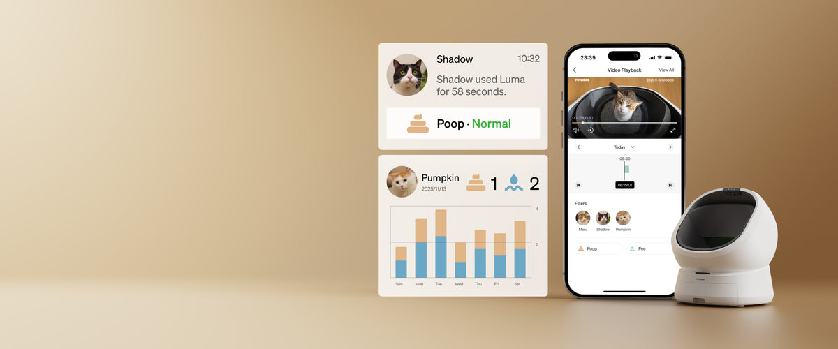 Best Automatic Litter Box | Luma Smart Litter Box by Petlibro