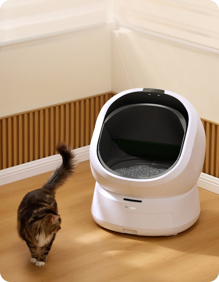 Petlibro automatic self-cleaning white cat litter box with black interior and digital control panel