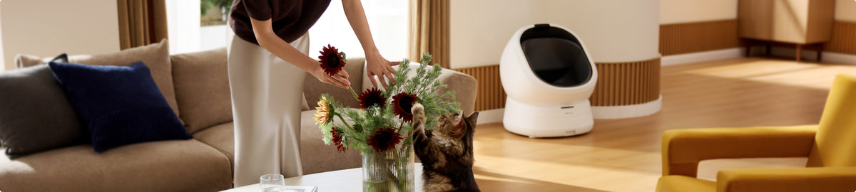 Litter Box