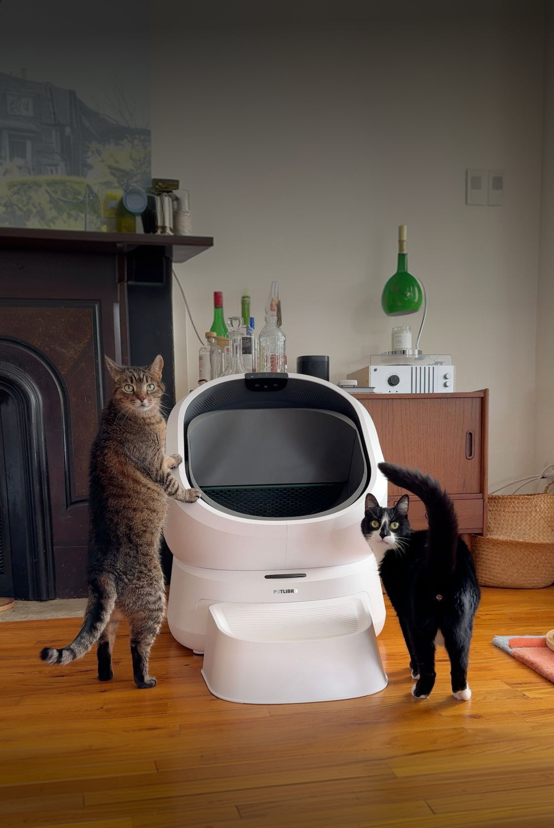 At home with Girls and Their Cats