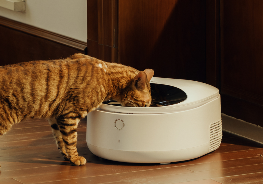 Polar Smart Wet Food Feeder