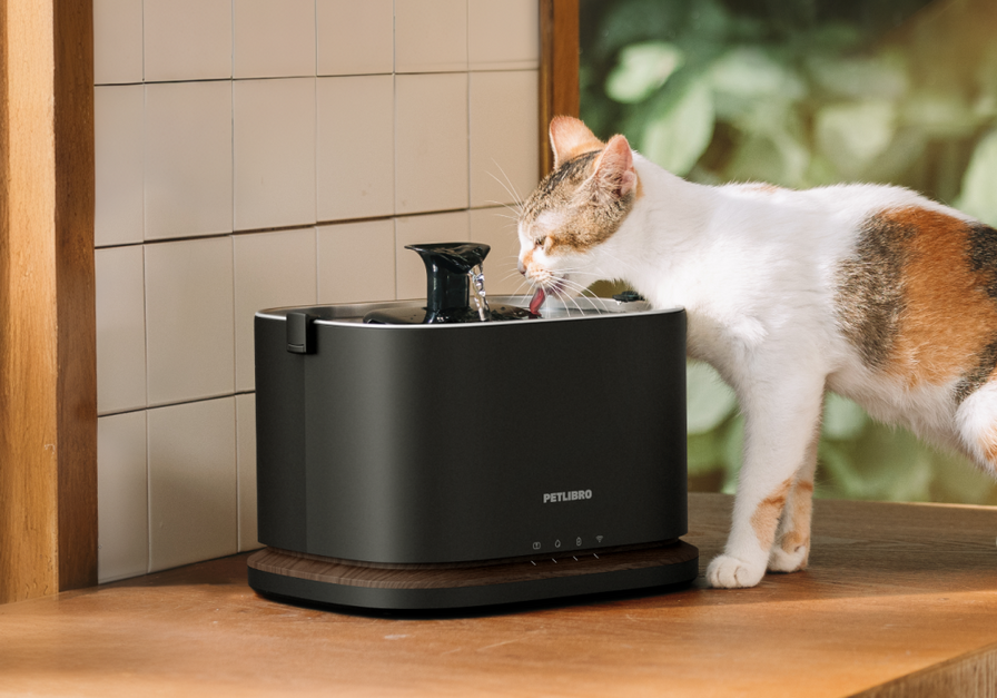 Dockstream 2 Smart Fountain