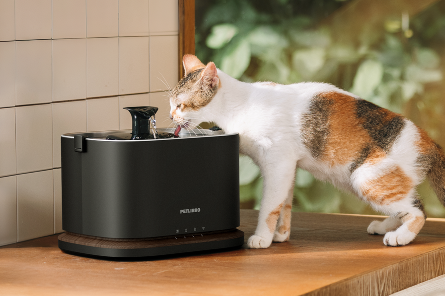 Dockstream 2 Smart Fountain