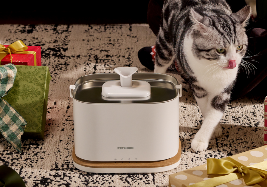 Dockstream 2 Smart Fountain