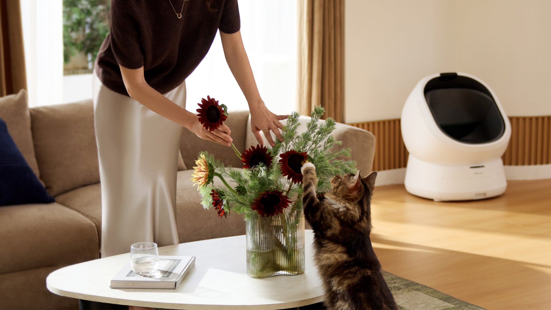 Petlibro automatic self-cleaning cat litter box in white with a cat playing near a flower vase on a living room table