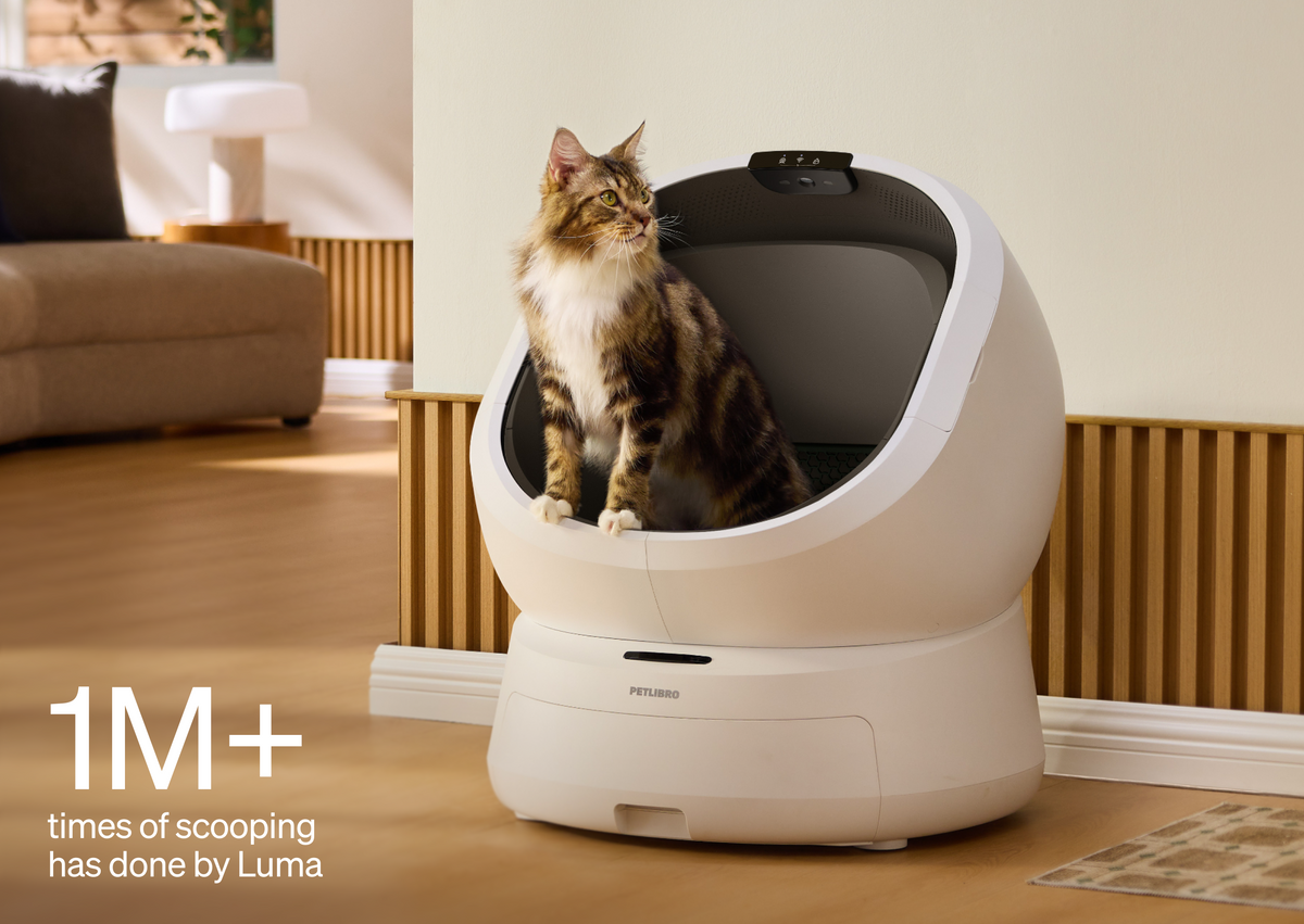 Petlibro Petlibro Luma odor control luma smart litter box, white automatic self cleaning cat litter box with cat inside, litter box deodorizer