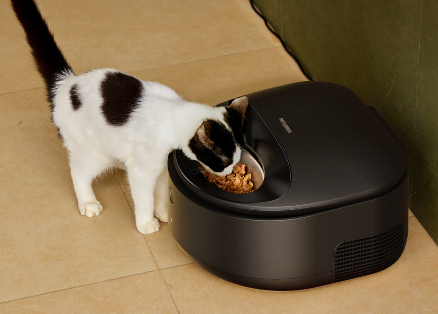 Polar Smart Wet Food Feeder