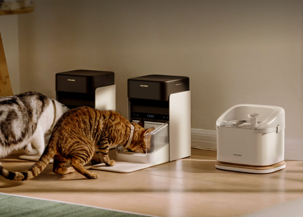 Petlibro PETLIBRO pet litter box setup with two cats eating from black-and-white feeders beside a white water fountain