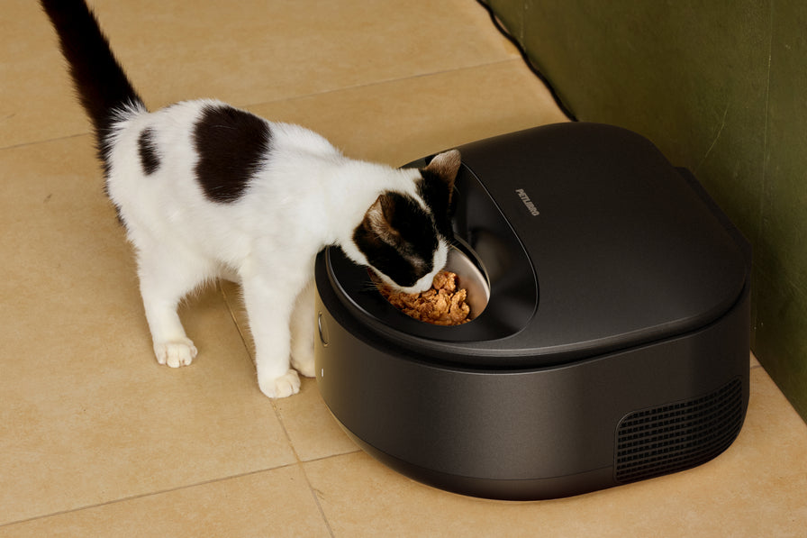 Polar Smart Wet Food Feeder