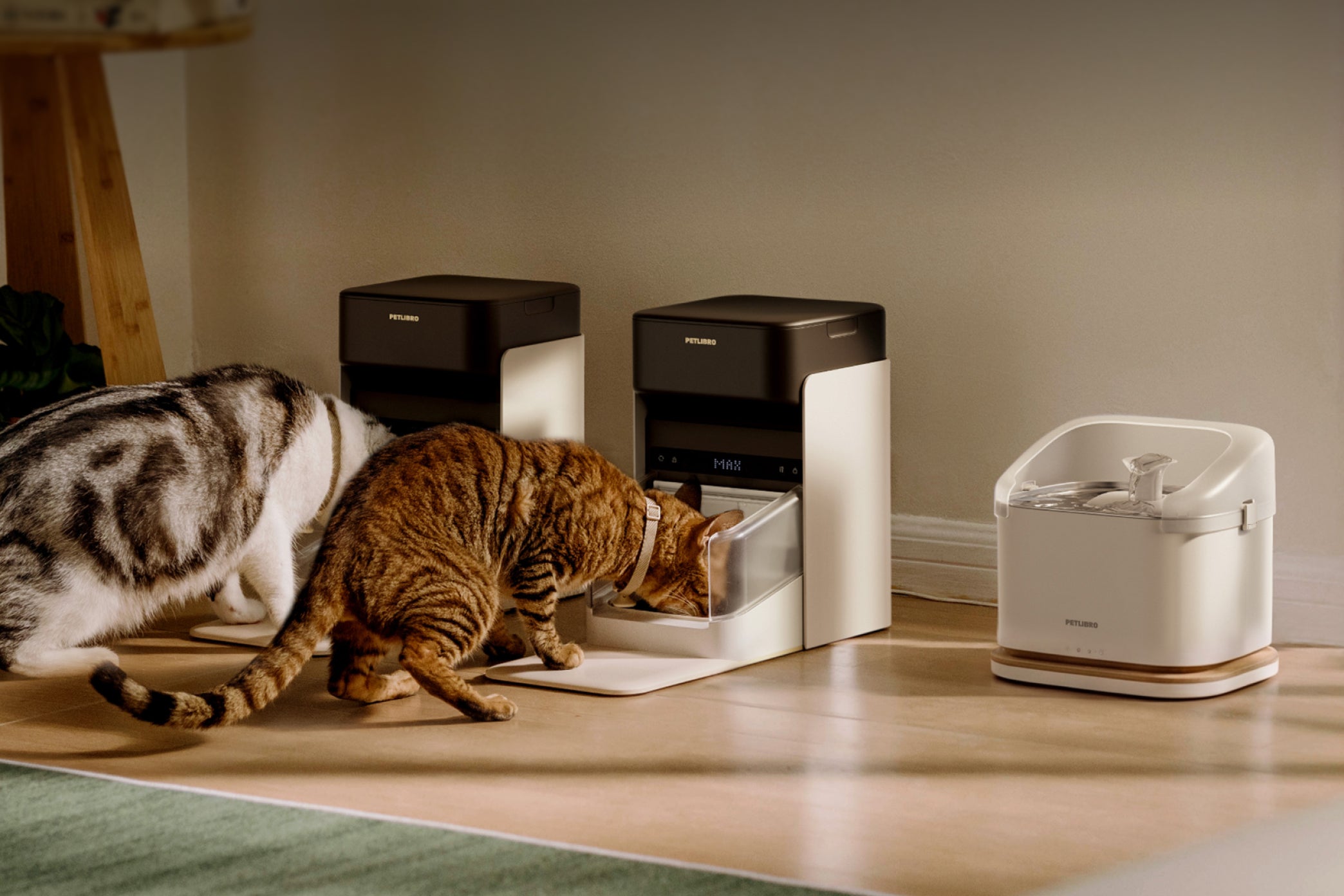 Petlibro PETLIBRO pet litter box setup with two cats using white automatic litter box and water fountain in home corner