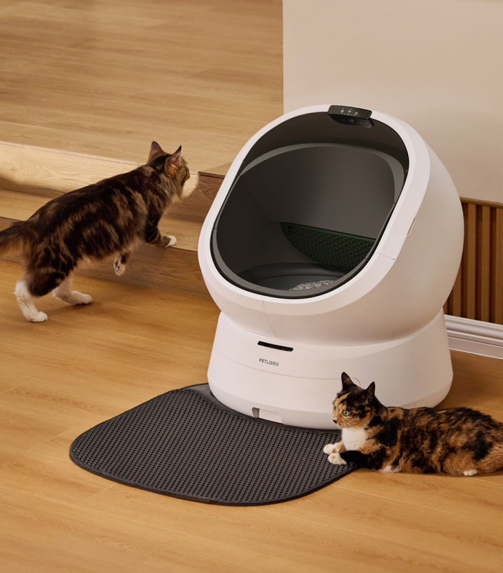 Petlibro PETLIBRO white pet litter box with open front and mat, two cats beside it on wood floor near stairs