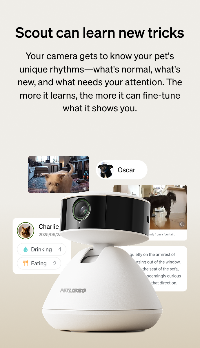 Video cloud AI