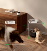 Petlibro PETLIBRO pet camera monitors cat drinking by black litter box in home, with motion alerts for dog nearby