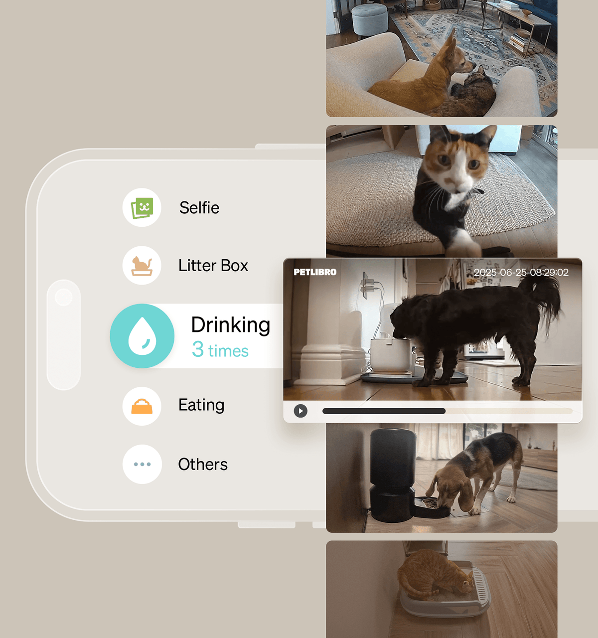 Scout smart camera - PETLIBRO pet tracking app interface with video clips of pets and their activities.