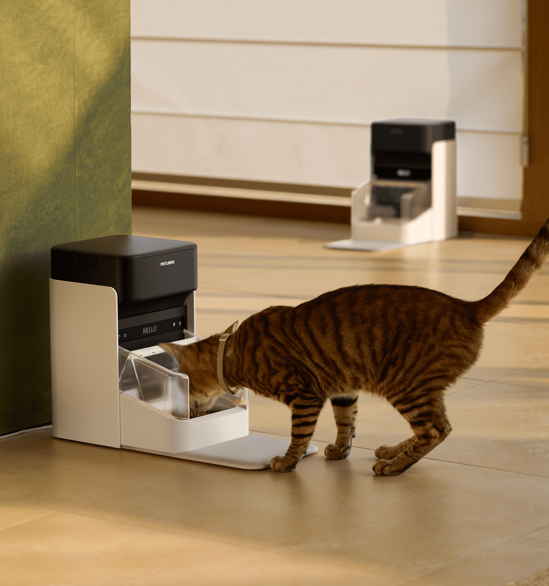 Petlibro PETLIBRO pet litter box feeder in white and black, tabby cat eating from clear tray on indoor floor