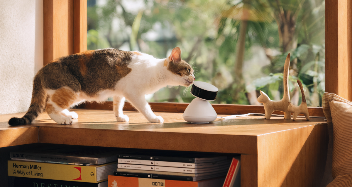 Petlibro PETLIBRO pet cat sniffing white smart camera on windowsill; litter box monitoring accessory in sunny home setting