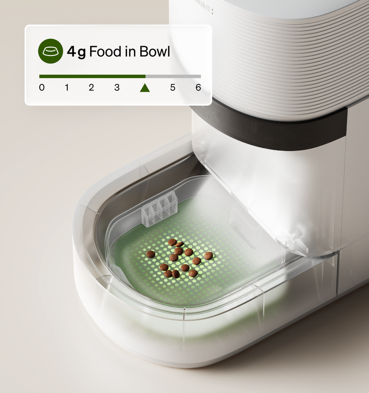 Petlibro smart cat feeder bowl showing 4g kibble; pet feeder for multiple cats, rfid cat feeder, portion control, Proof of Feeding camera, reliable WiFi; petlibro vs petkit best automatic cat feeder reddit