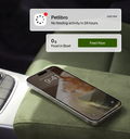 Petlibro app alert “No feeding activity in 24 hours” with Feed Now button, smart cat feeder with camera proof of feeding for multi-cat feeding