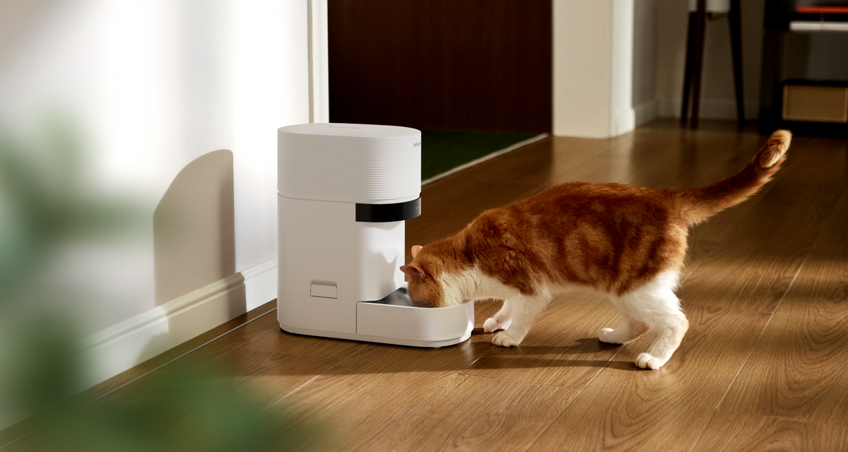 Petlibro rfid cat feeder, pet feeder for multiple cats; cat eating from white dispenser for cat feeder portion control, proof of feeding.