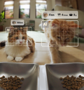 Petlibro Multi-Cat Feeding pet feeder for multiple cats, rfid cat feeder; smart cat feeder with camera, cat feeder portion control, reliable wifi cat feeder