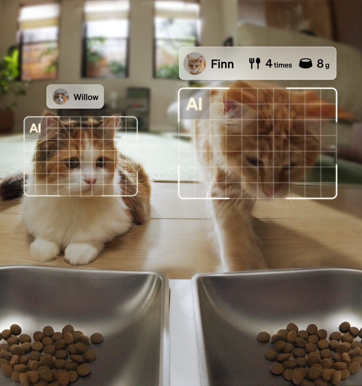 Petlibro Multi-Cat Feeding pet feeder for multiple cats, rfid cat feeder; smart cat feeder with camera, cat feeder portion control, reliable wifi cat feeder