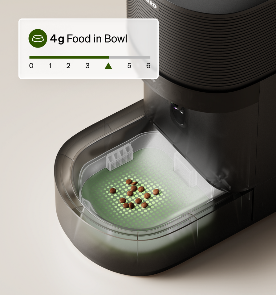 Granary 2 Vision Smart Feeder