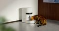 Petlibro pet feeder for multiple cats, rfid cat feeder; smart cat feeder with camera, cat feeder portion control; how to know if my cat ate, reliable wifi cat feeder, petlibro vs petkit, best automatic cat feeder reddit