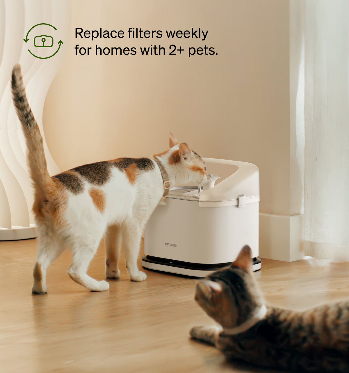 Petlibro Multi-Cat Feeding pet feeder for multiple cats; rfid cat feeder for portion control, proof of feeding, reliable WiFi, camera