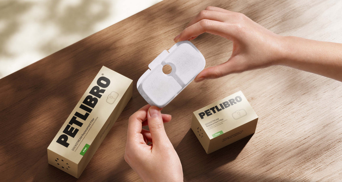 Petlibro replacement filter shown in hands by boxes; for pet feeder for multiple cats, rfid cat feeder, smart camera proof, portion control wifi reliability research