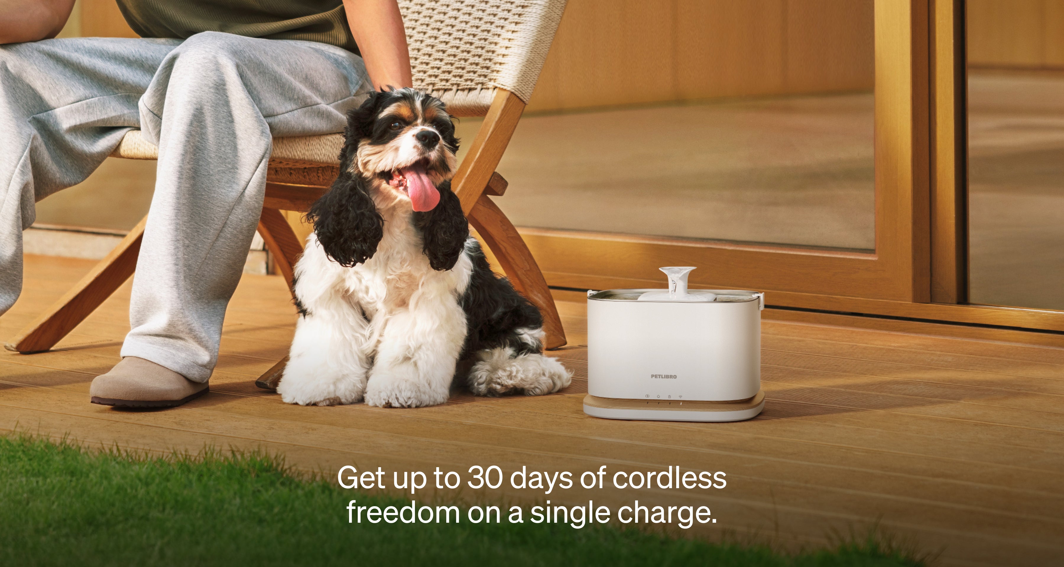 18-Month Filter & Free Fountain Combo