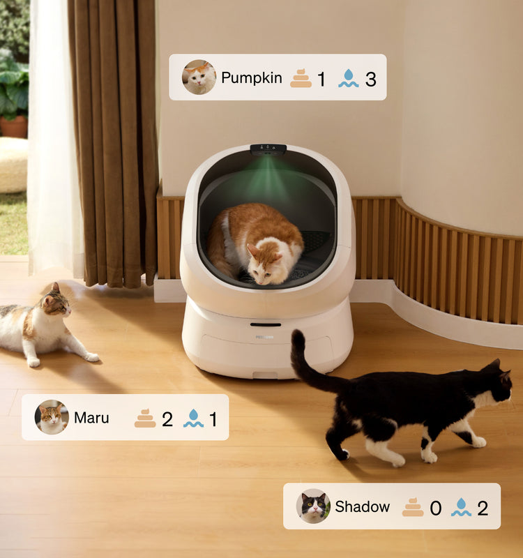 Petlibro automatic self-cleaning litter box in white with three cats and usage tracking icons in a home setting