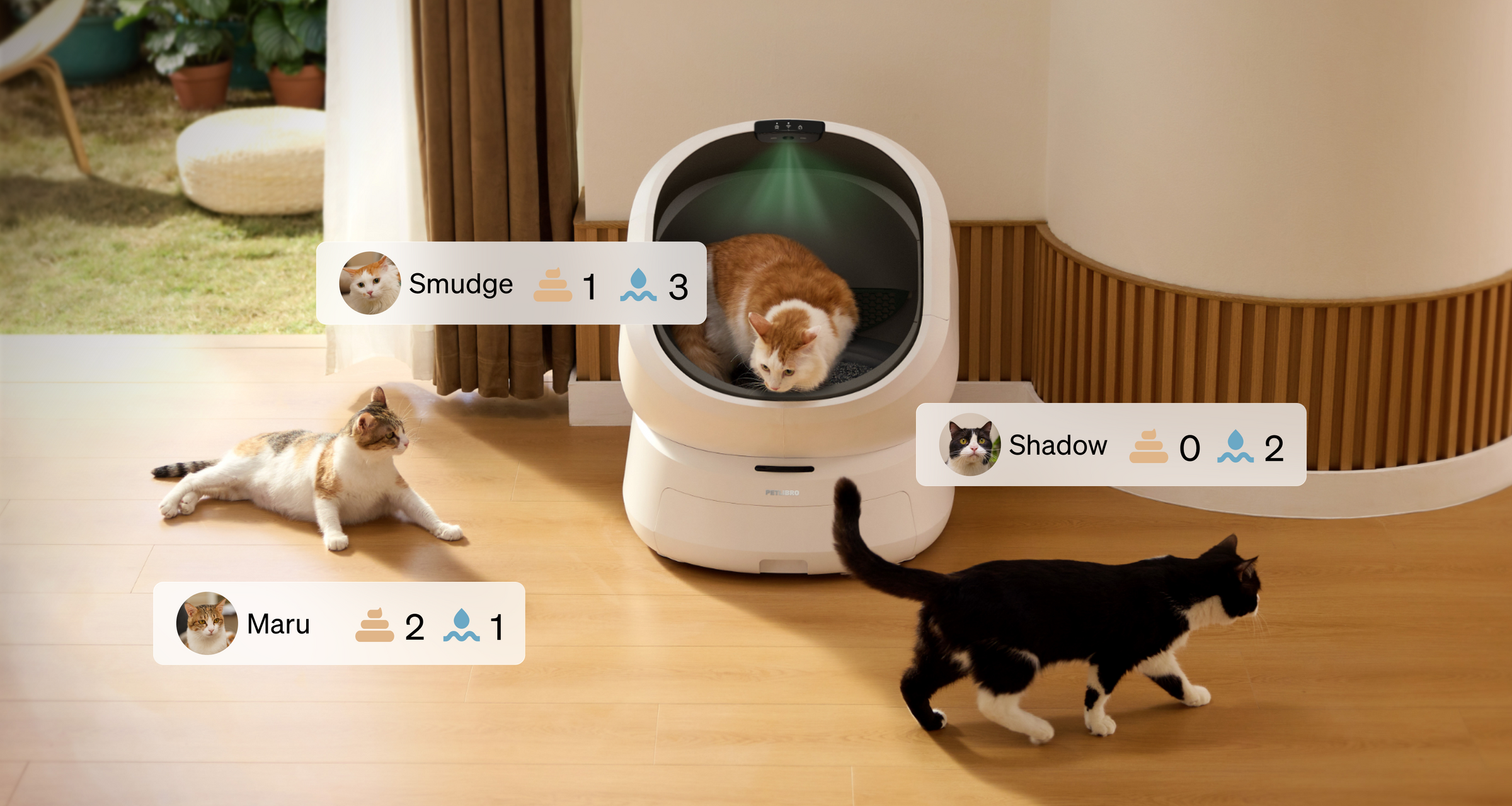 Petlibro automatic self-cleaning litter box in white with three cats and usage tracking icons in a modern home setting