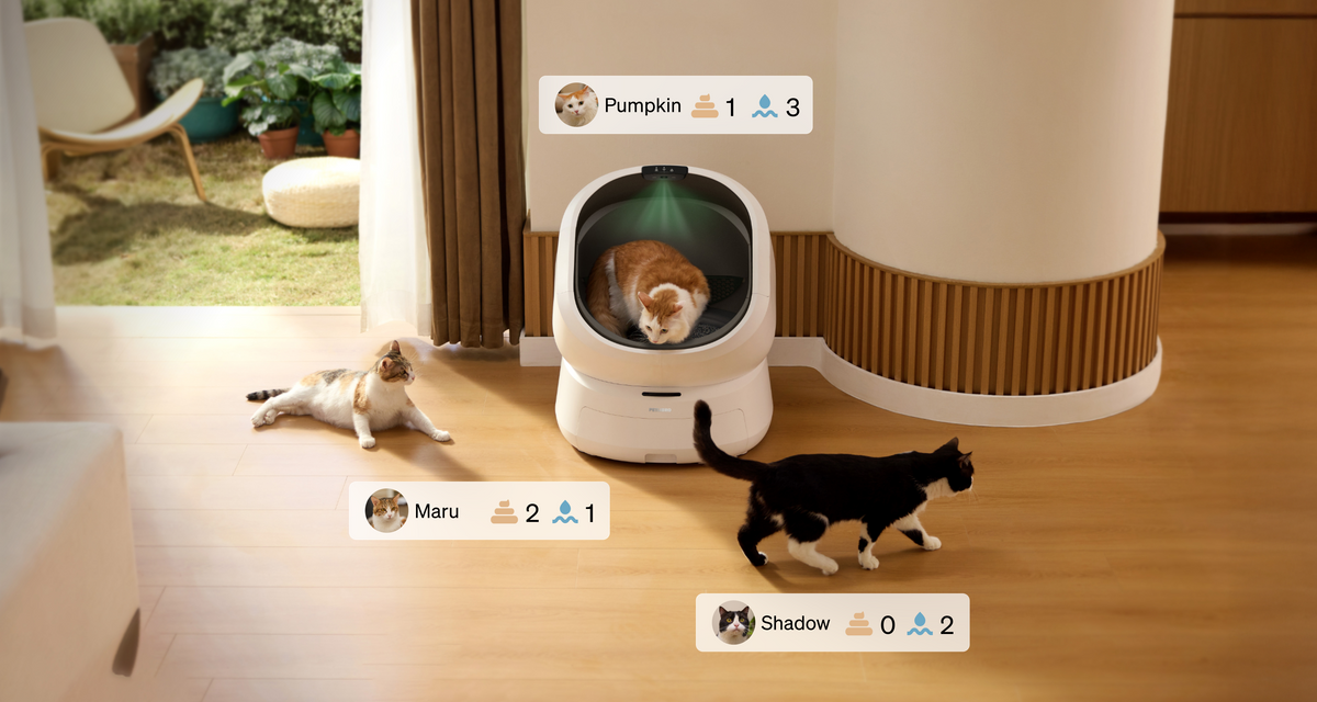 Petlibro Petlibro Luma odor control luma smart litter box, white automatic self cleaning cat litter box with cats nearby indoors