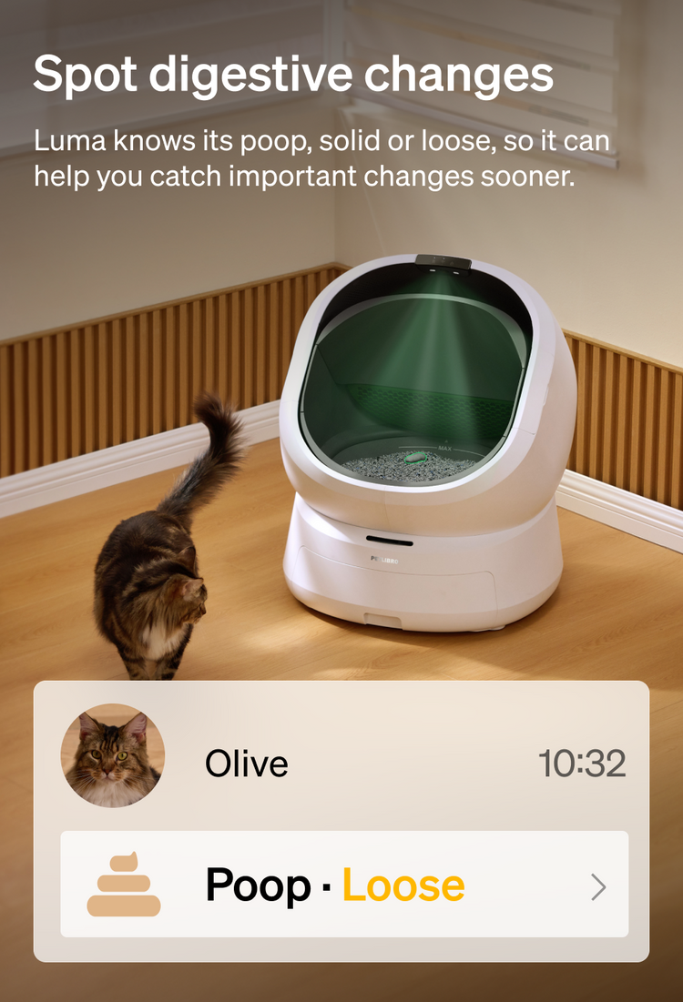 Petlibro PETLIBRO smart pet litter box in white with green interior, cat nearby, app alert shows loose poop detection