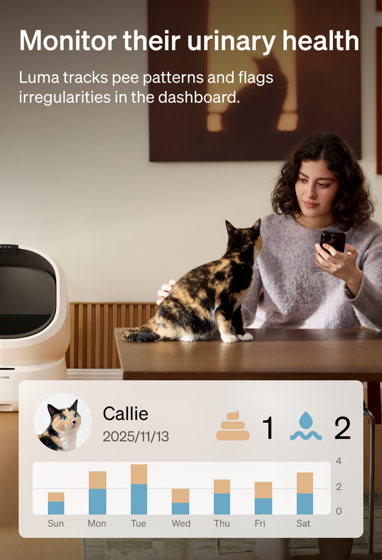 Petlibro PETLIBRO pet litter box scene, woman checks phone while calico cat sits on table, health tracking dashboard overlay