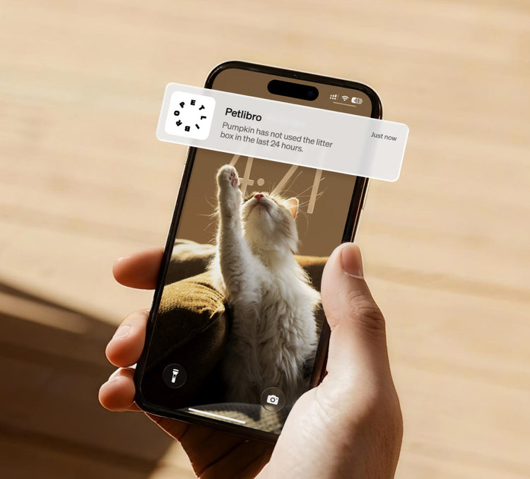 Petlibro smartphone app notification alerting no litter box use by cat Pumpkin in the last 24 hours