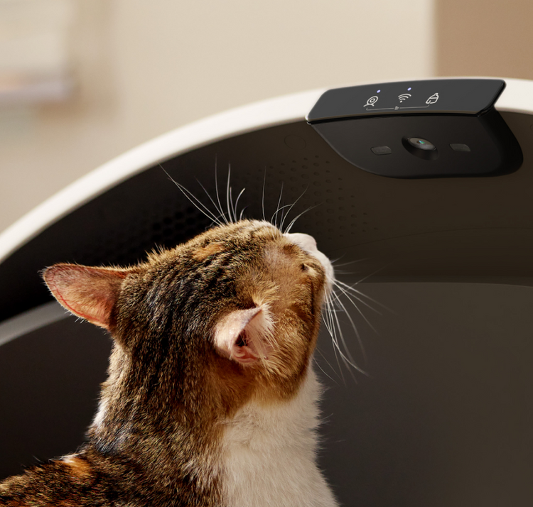 Petlibro PETLIBRO smart pet litter box control panel as a cat looks up at the black sensor lid indoors