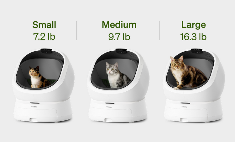 Petlibro PETLIBRO pet litter box size guide showing small, medium, large white litter box with cats and weight labels