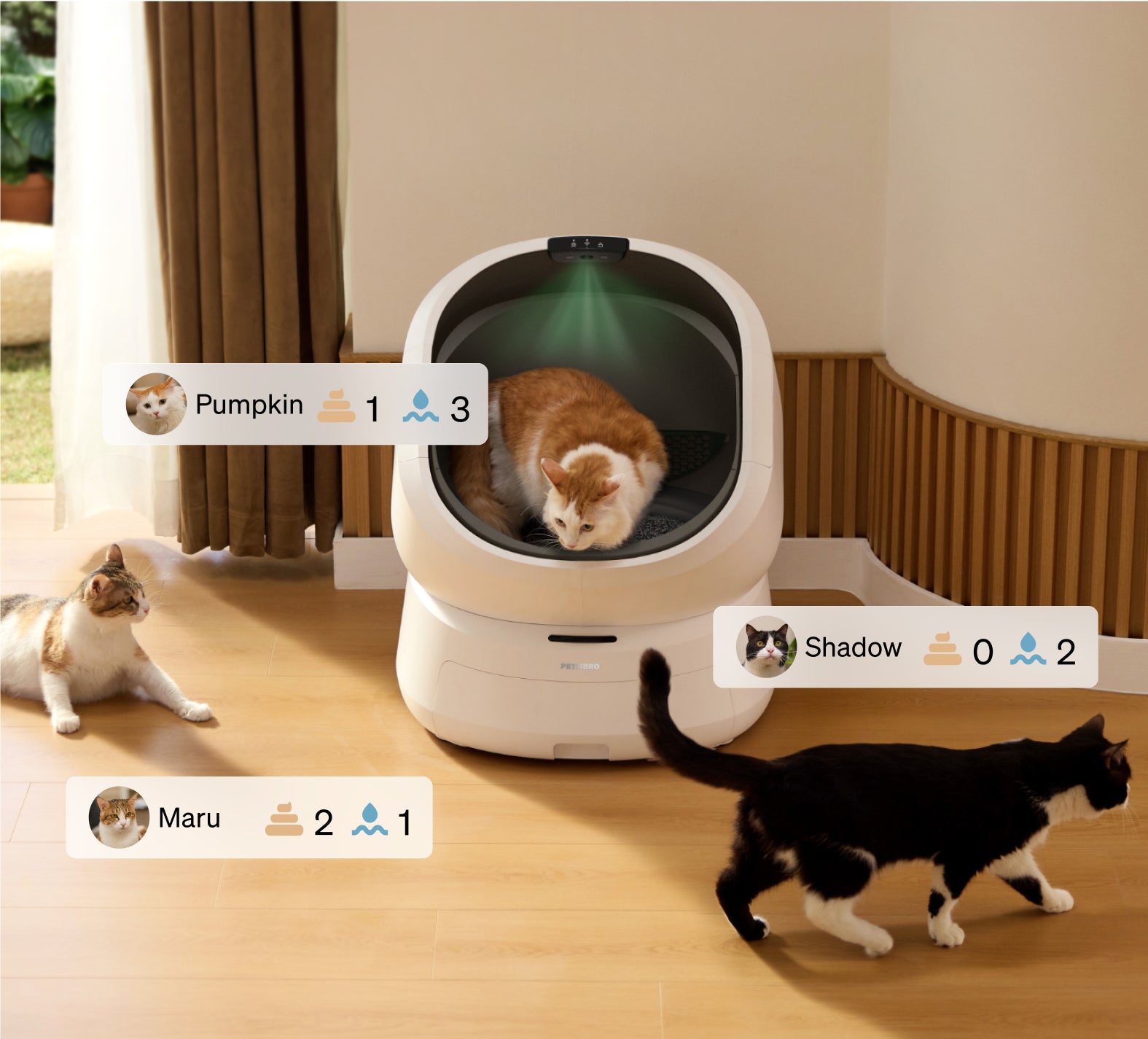 Petlibro automatic self-cleaning cat litter box in white with three cats and health tracking interface